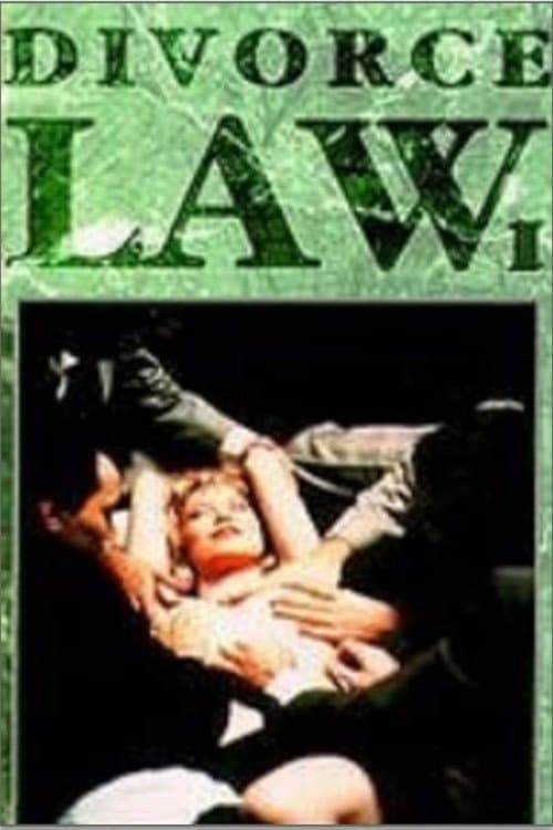 Divorce Law photo