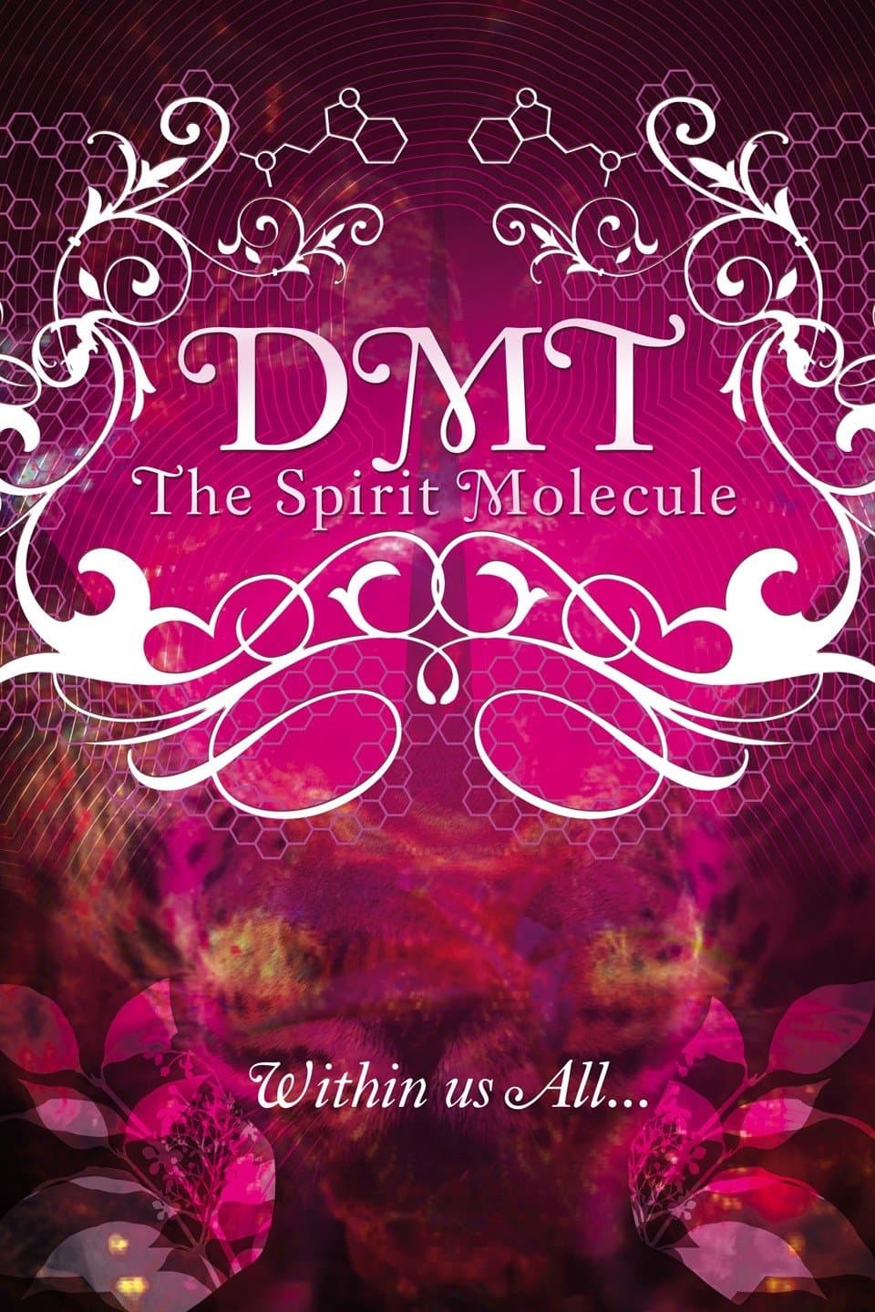 DMT: The Spirit Molecule photo