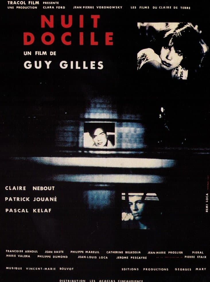 Docile Night photo