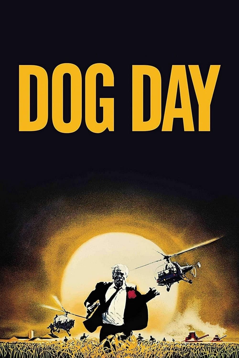 Dog Day photo