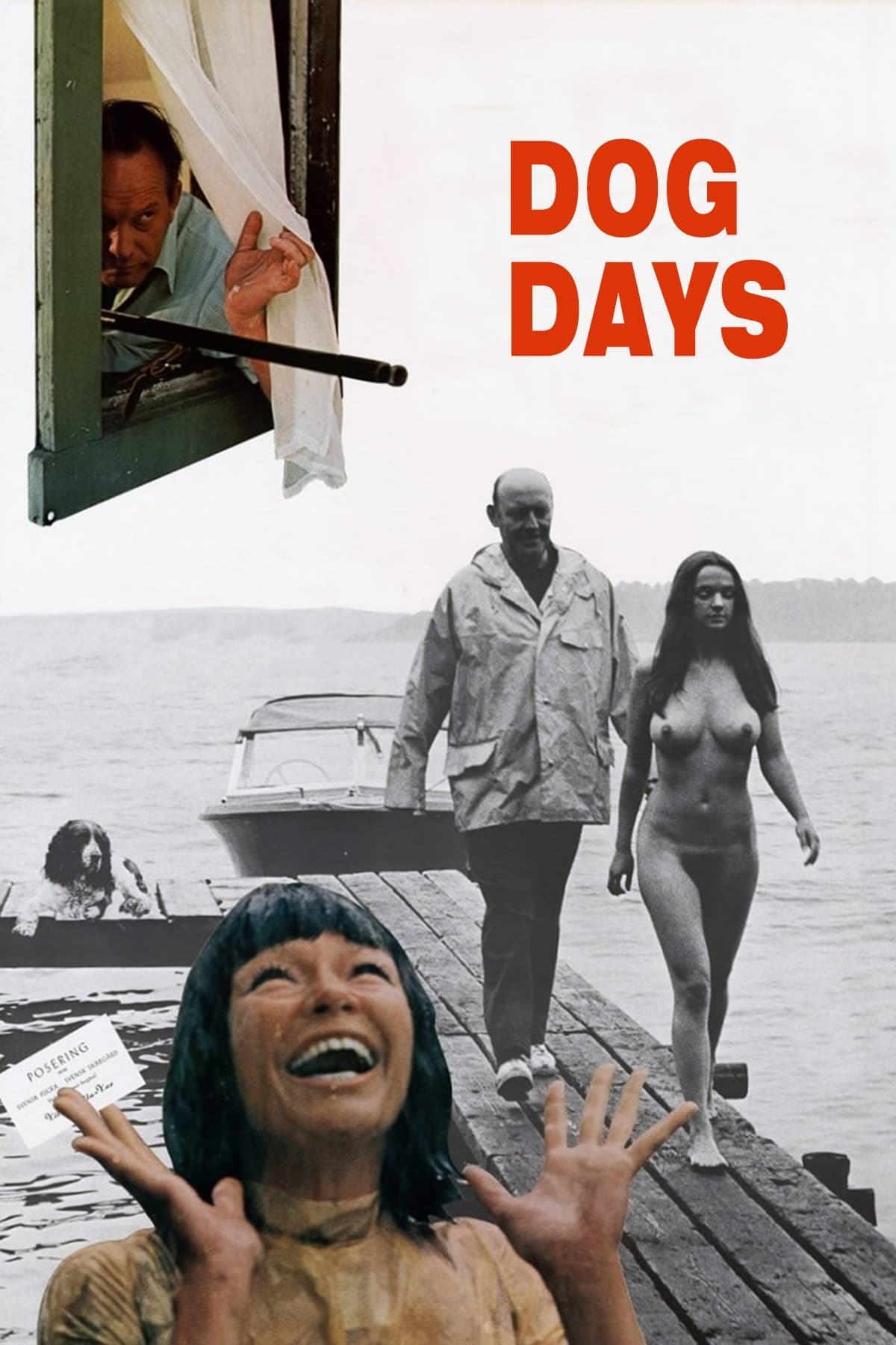 Dog Days photo