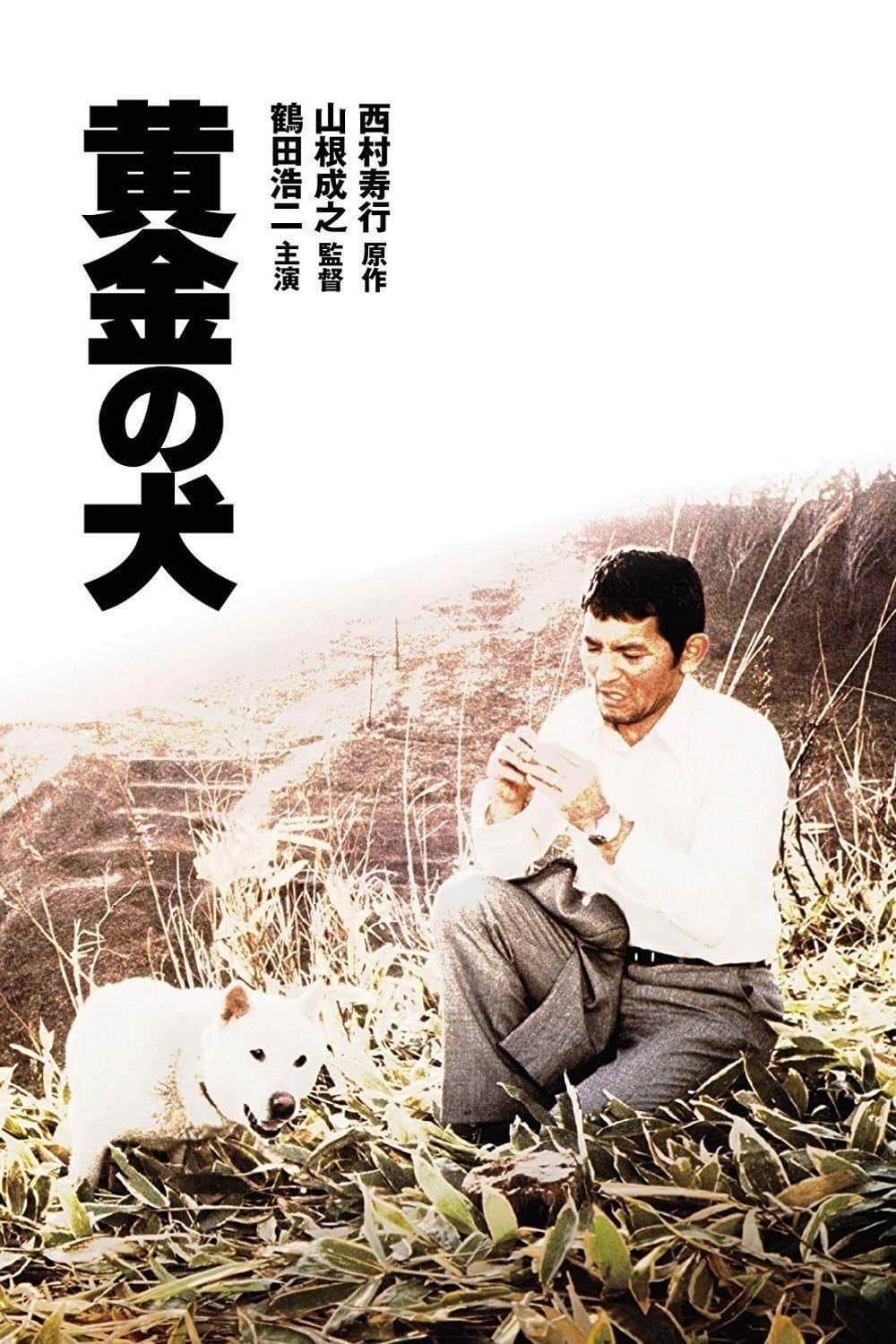 Dog of Fortune photo