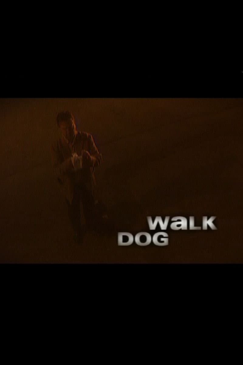 Dog Walk photo