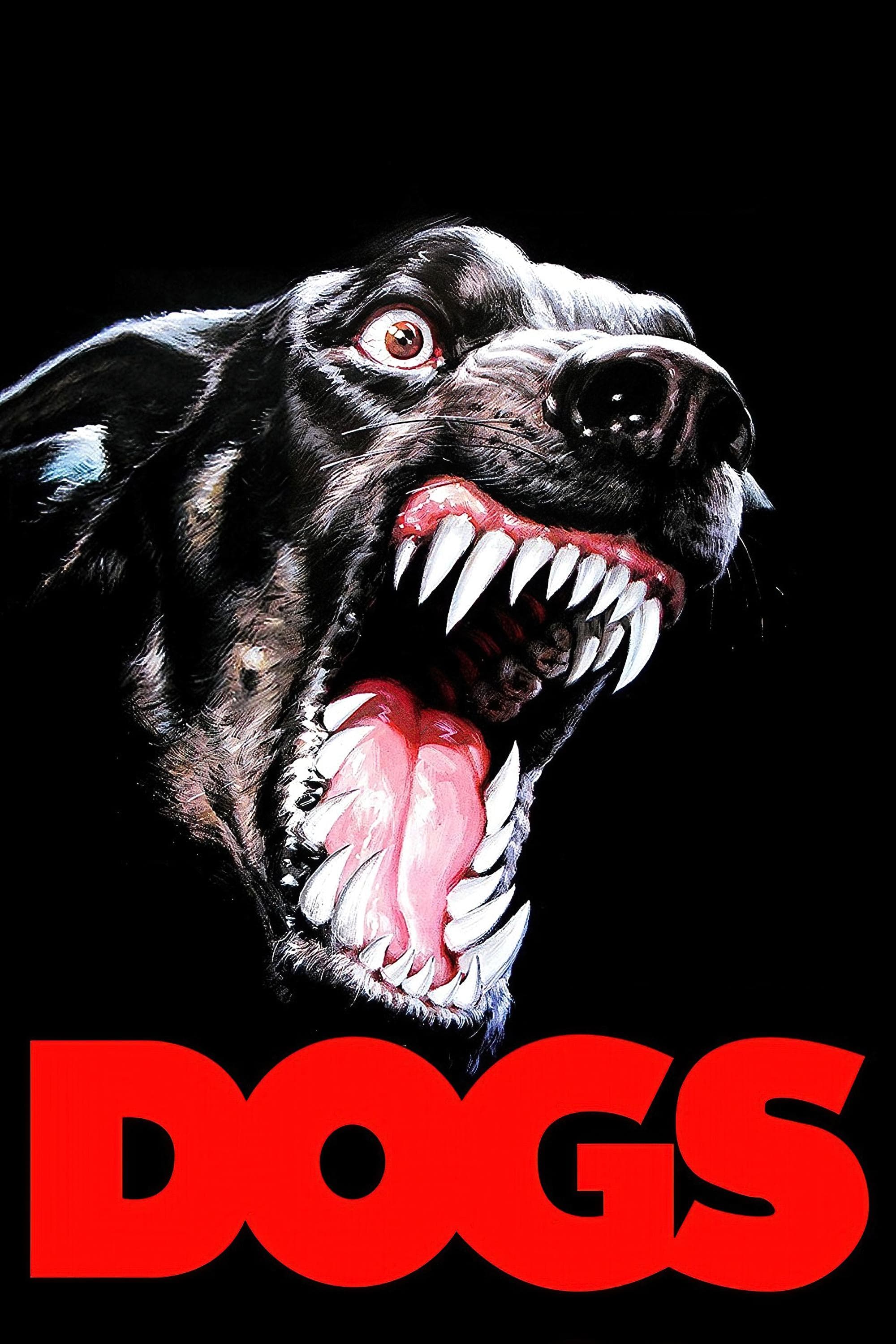 Dogs photo