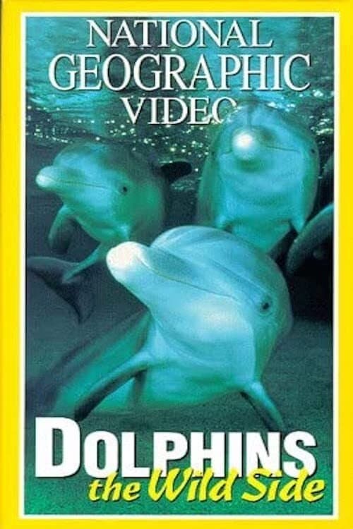 Dolphins: The Wild Side photo