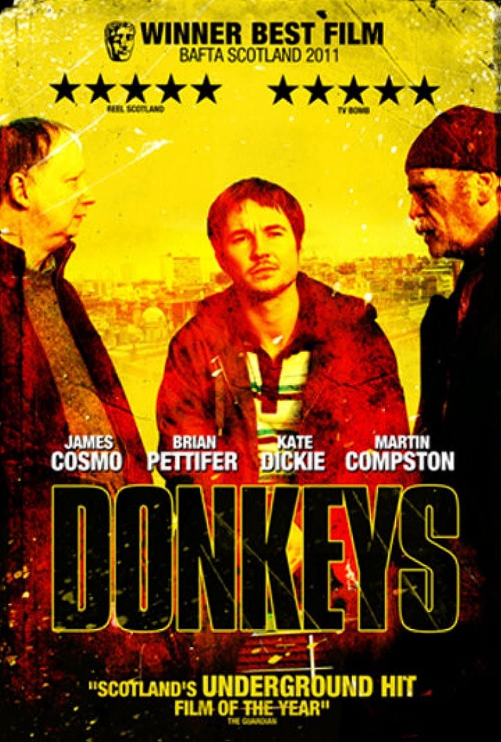 Donkeys photo