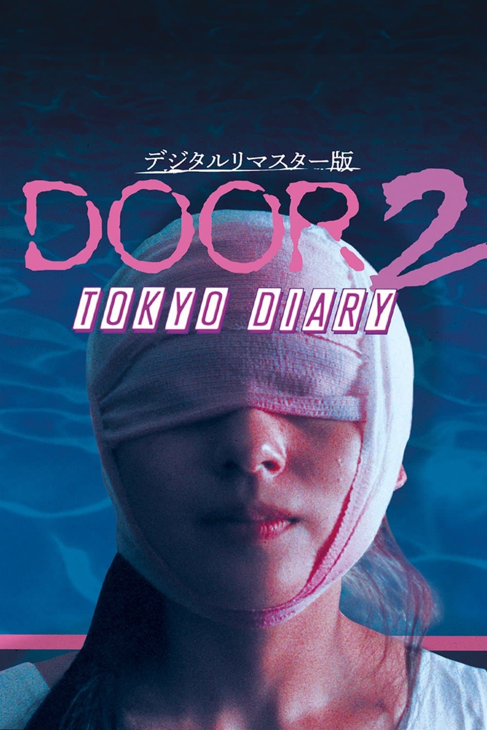 Door II: Tokyo Diary photo