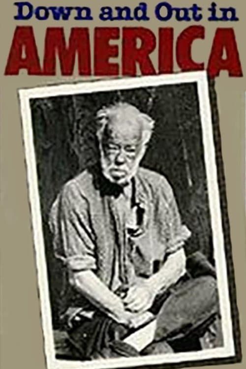 Down and Out in America photo