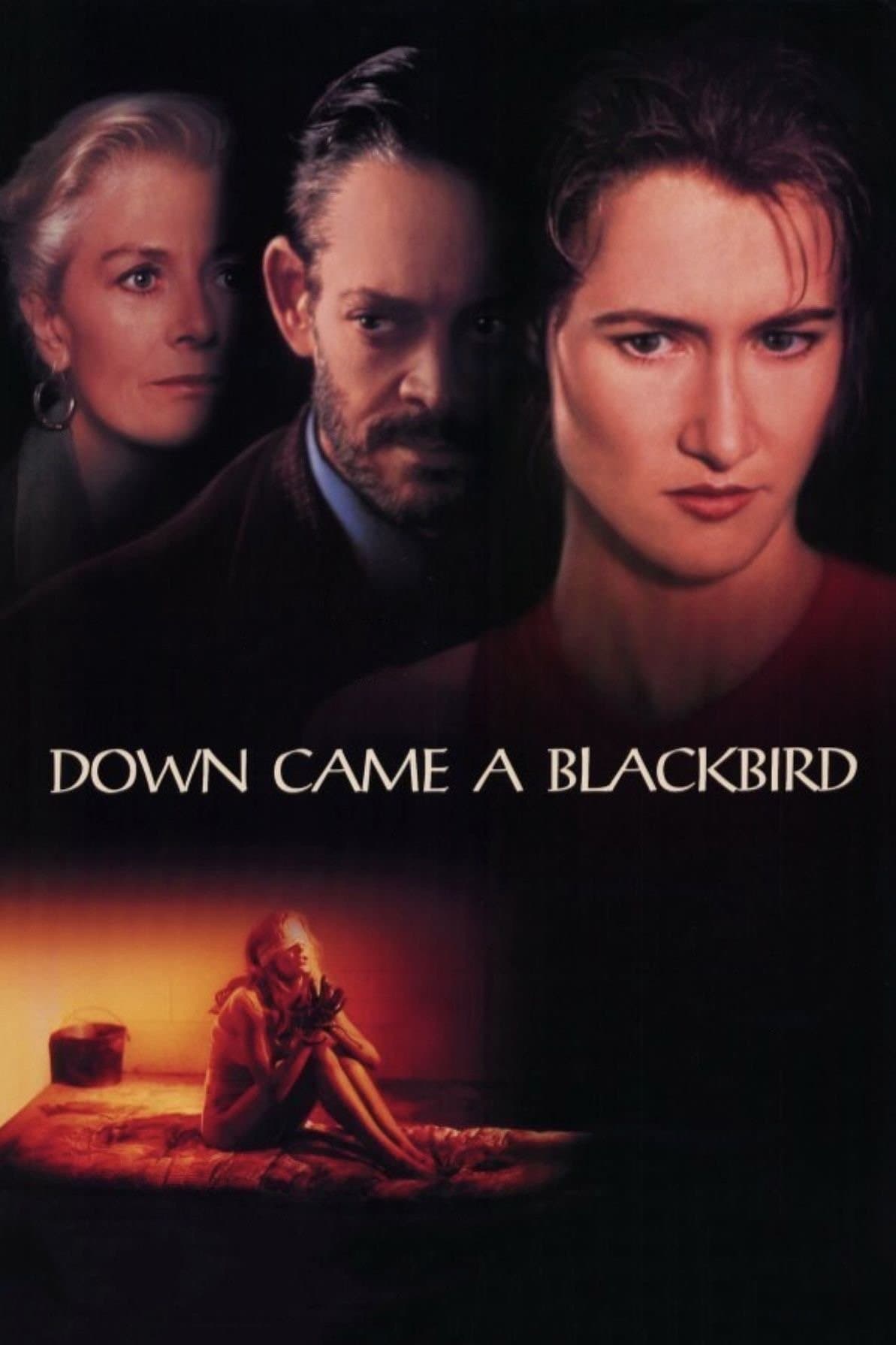 Down Came a Blackbird photo