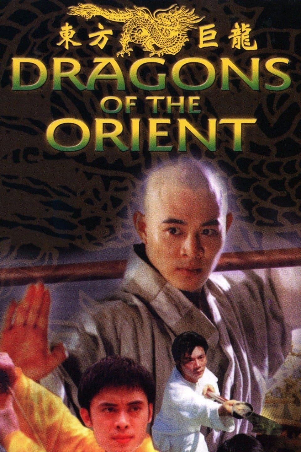 Dragons of the Orient photo
