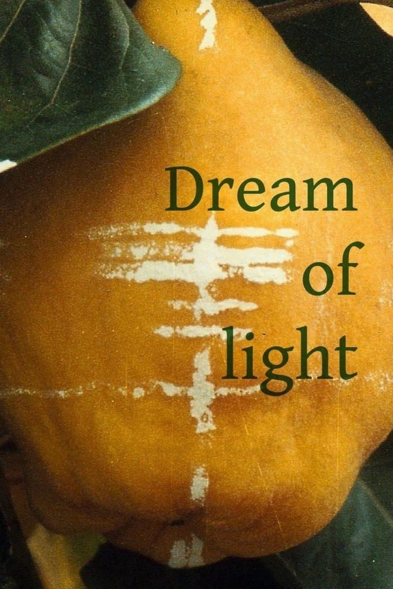 Dream of Light photo