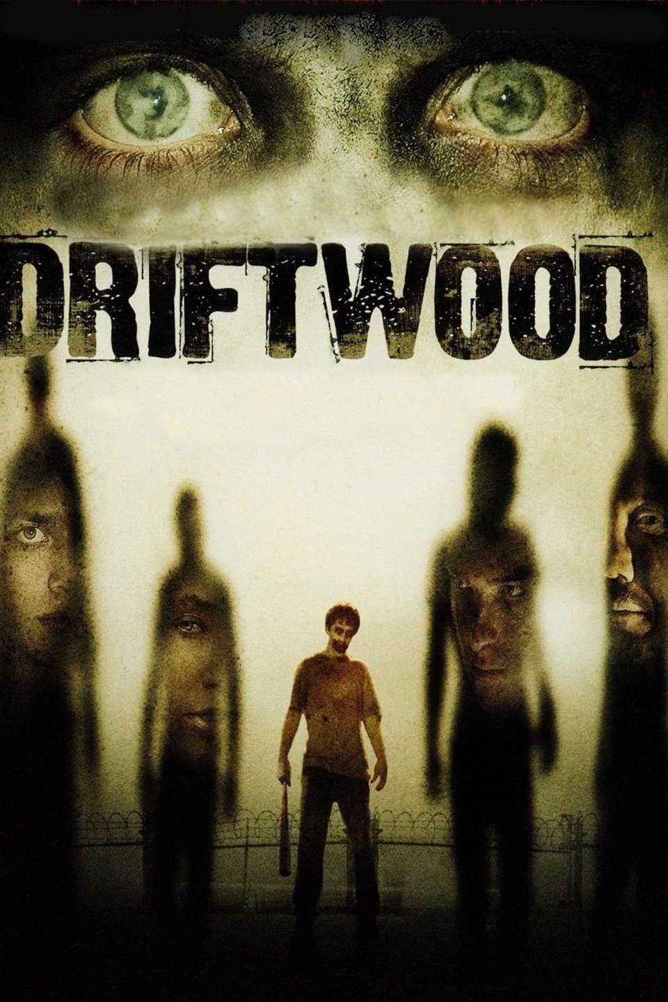 Driftwood photo