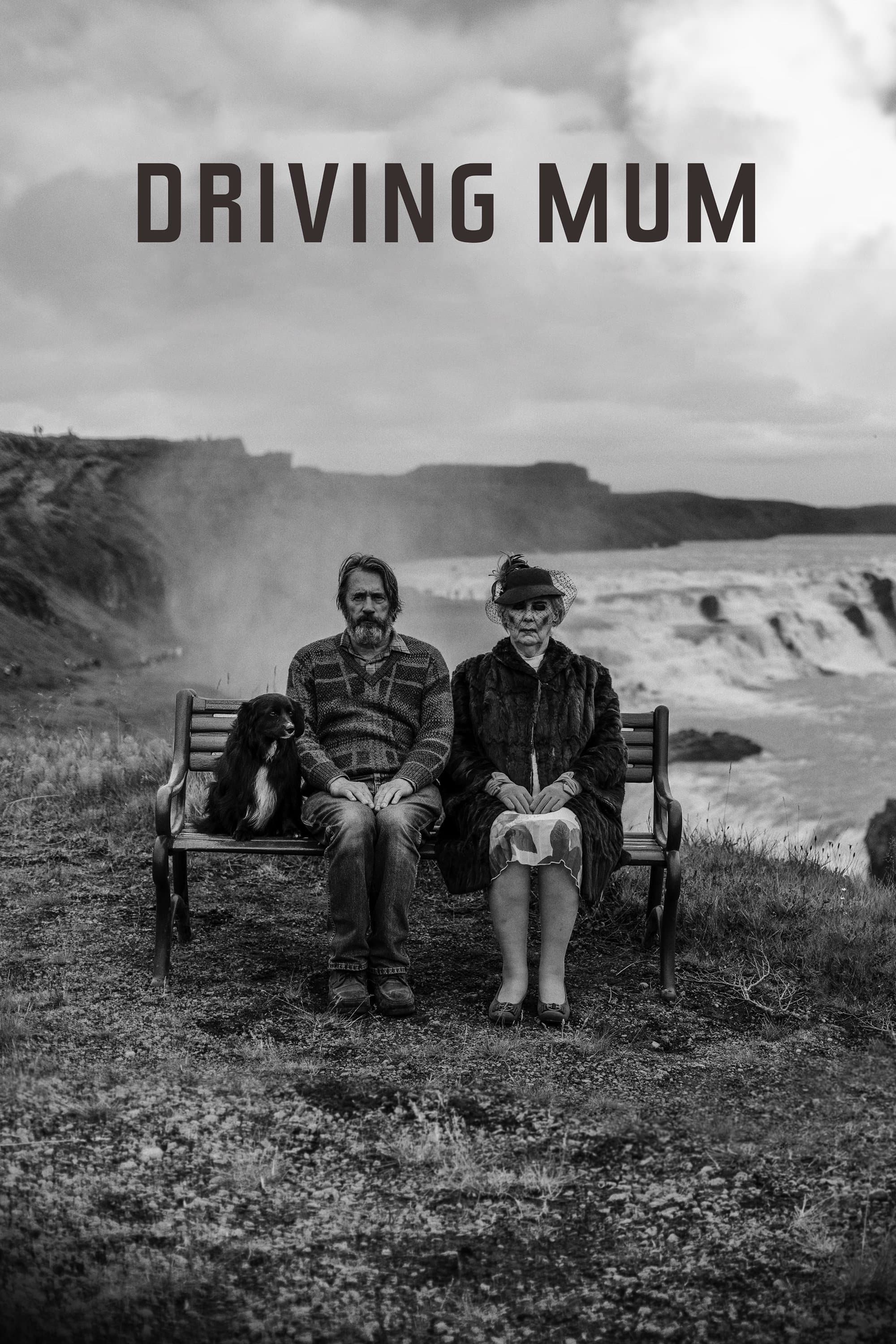 Driving Mum photo