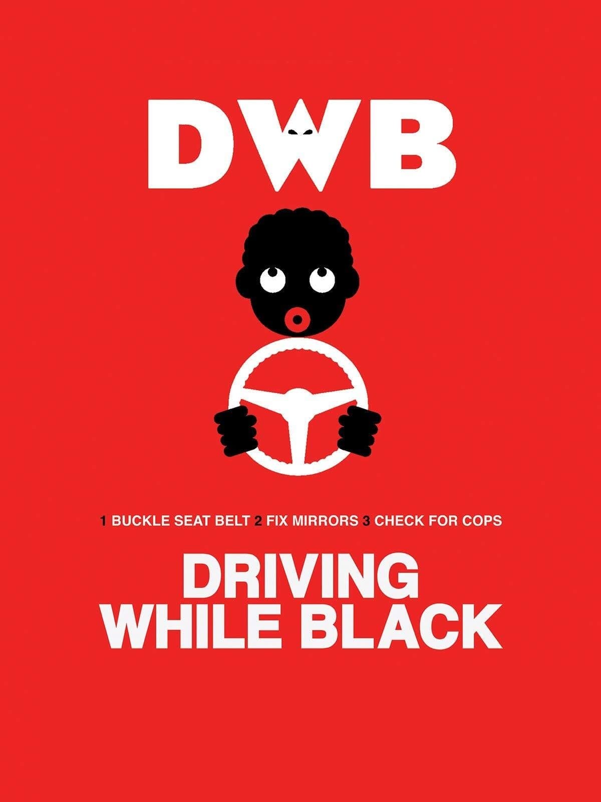 Driving While Black photo