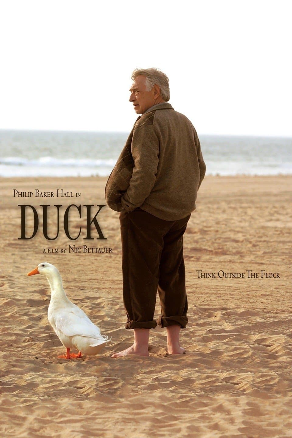 Duck photo