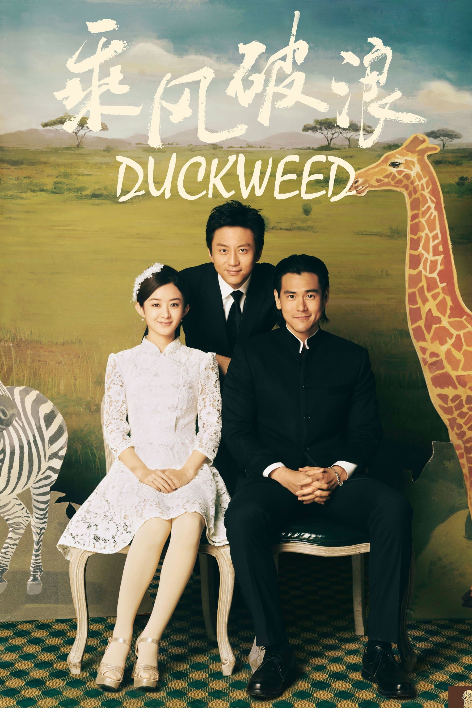Duckweed photo