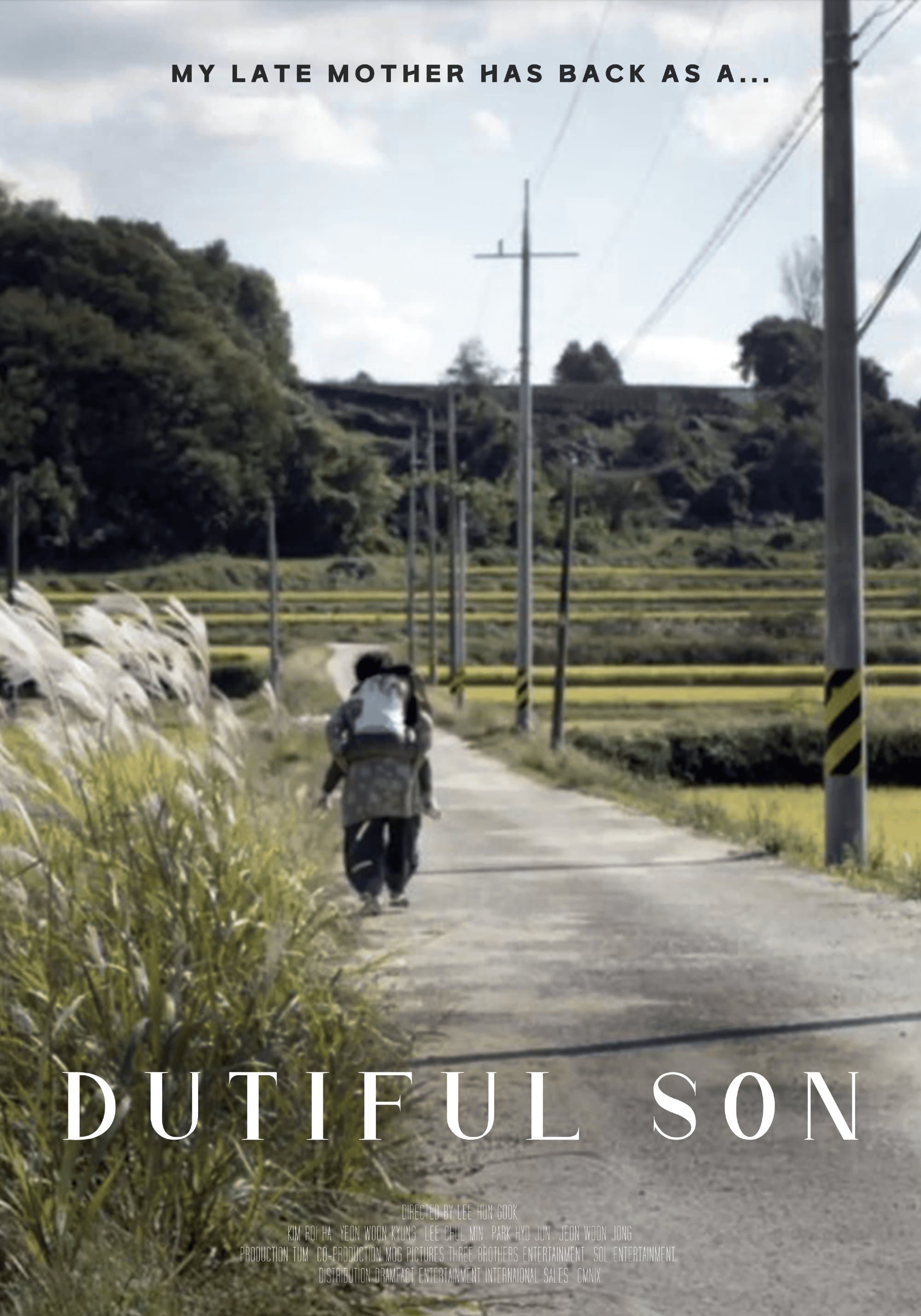 Dutiful Son photo