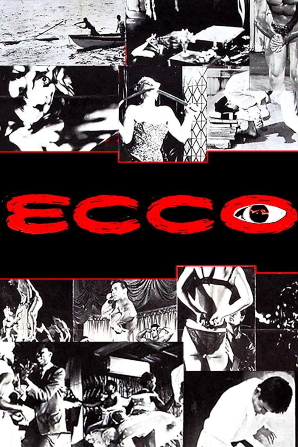 Ecco photo
