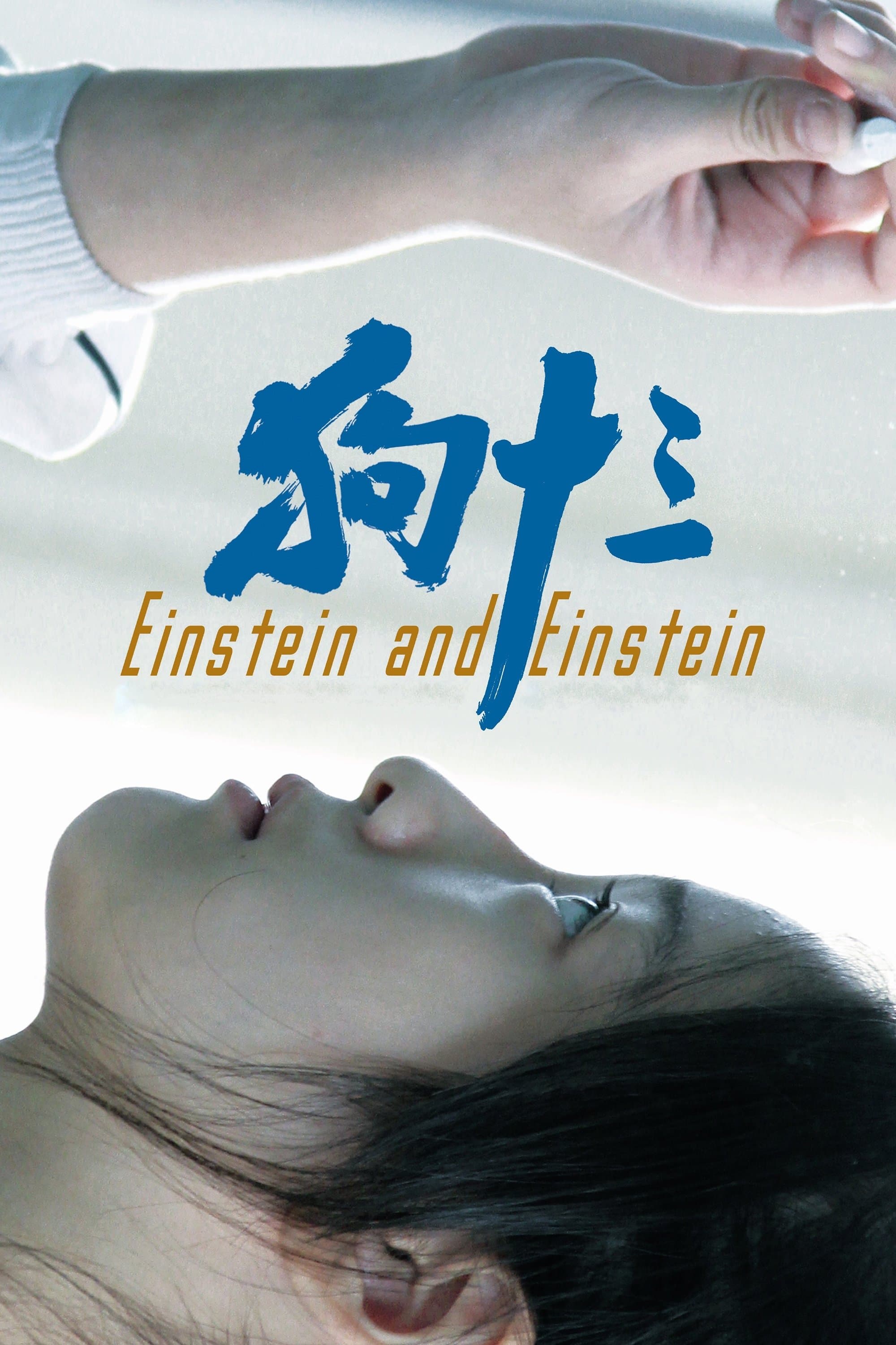 Einstein and Einstein photo