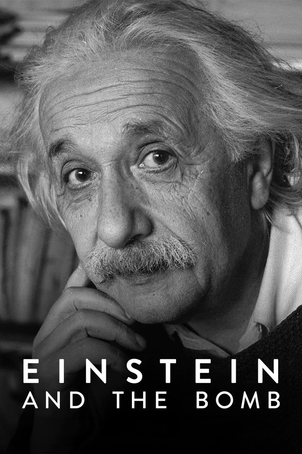 Einstein and the Bomb photo