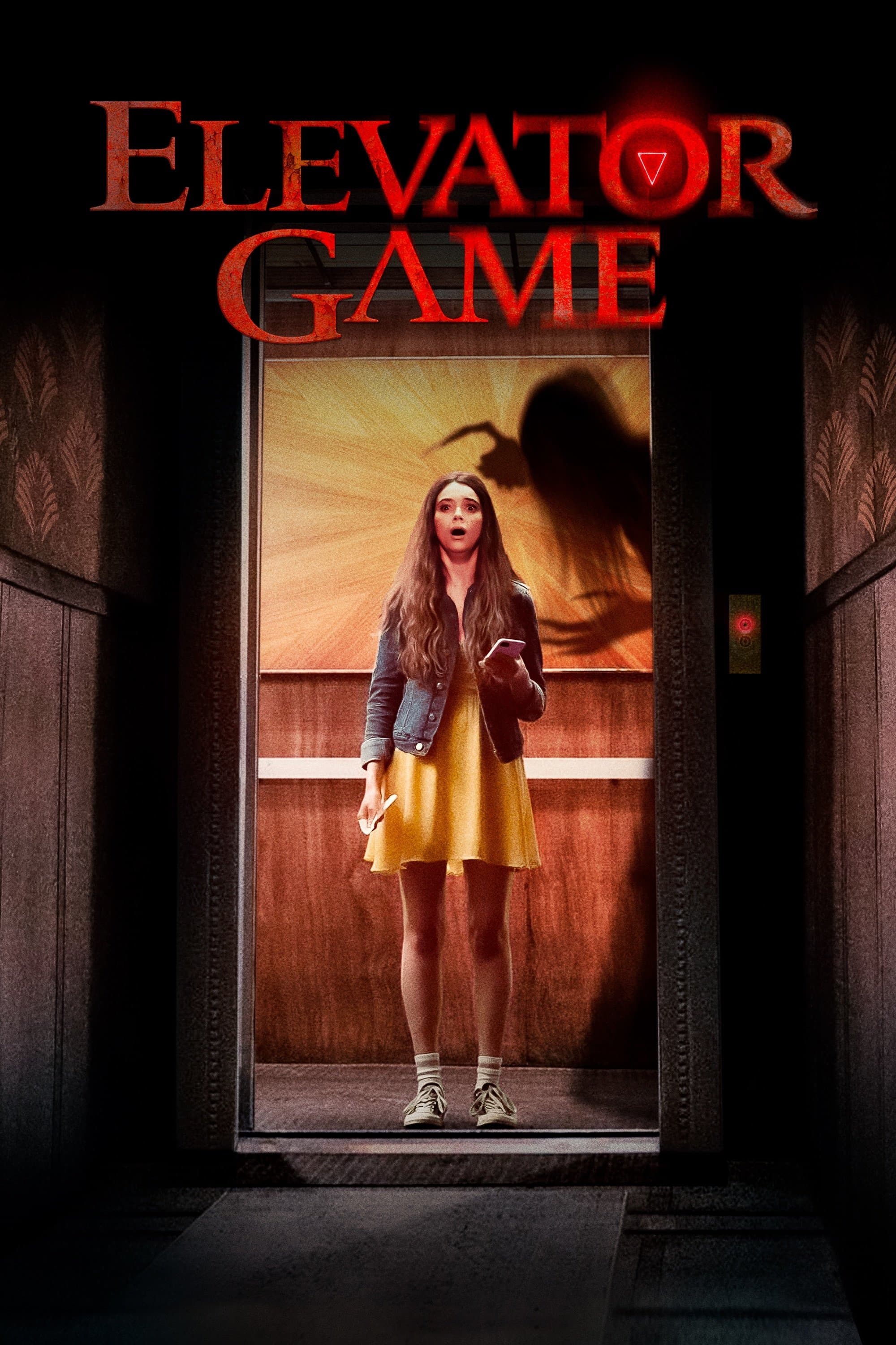 Elevator Game photo