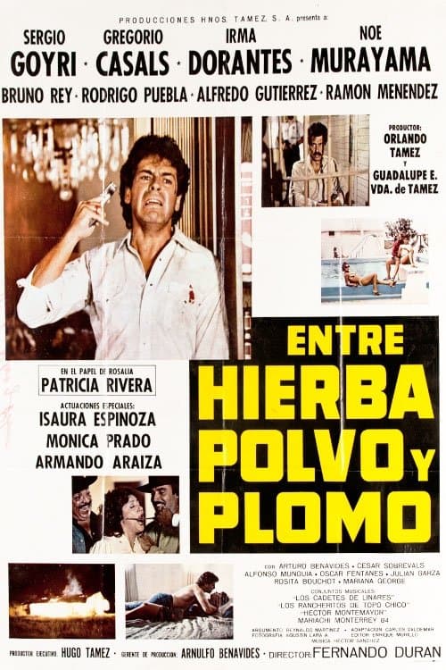 Entre Hierba, Polvo y Plomo photo
