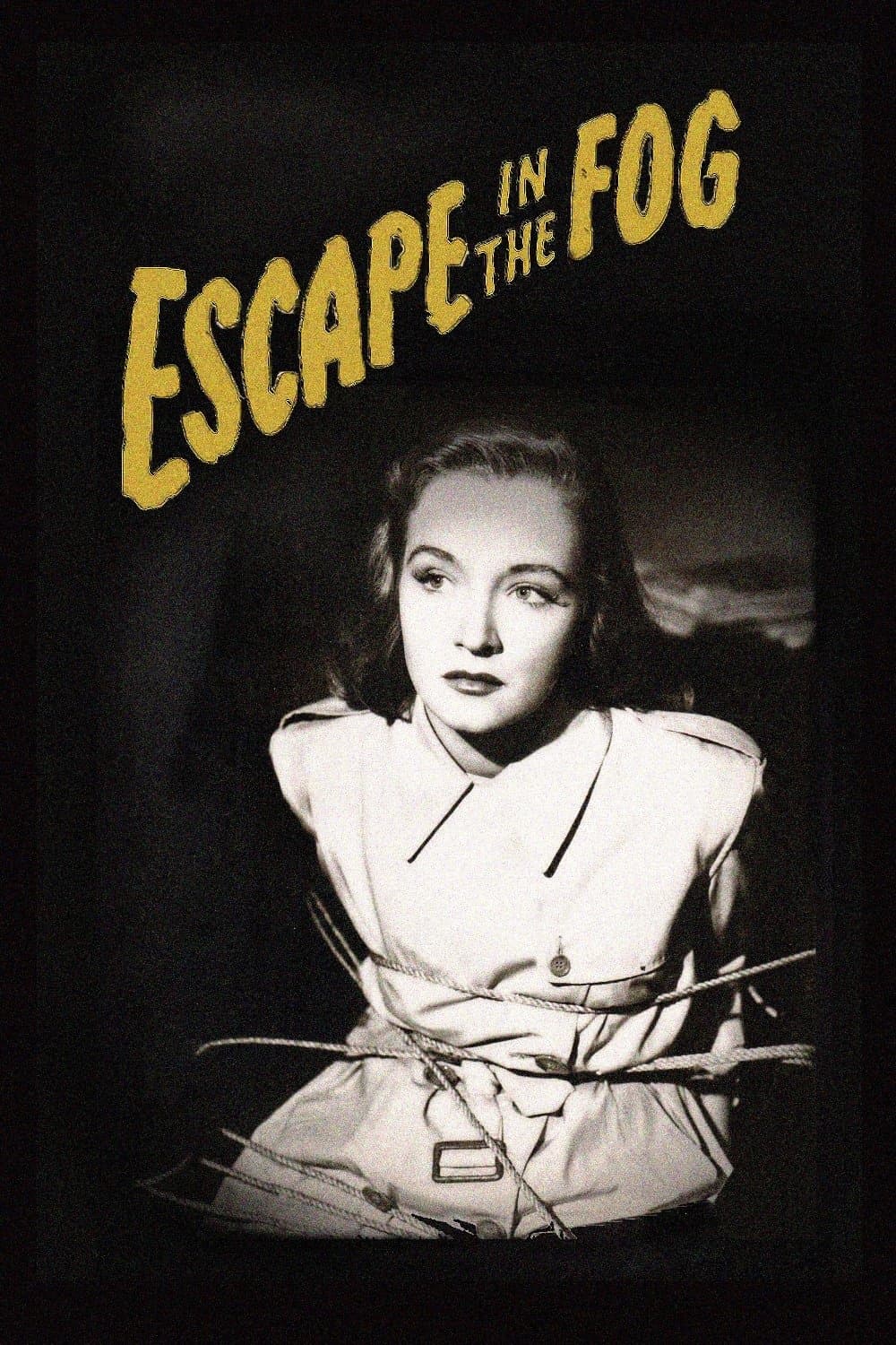 Escape in the Fog photo