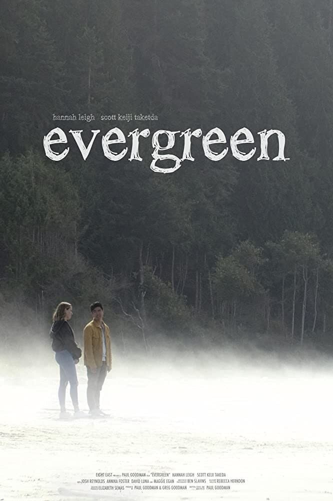 Evergreen photo