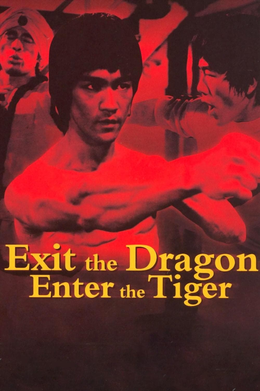 Exit the Dragon, Enter the Tiger photo