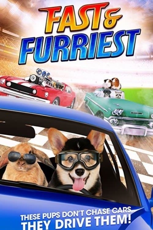 Fast and Furriest photo