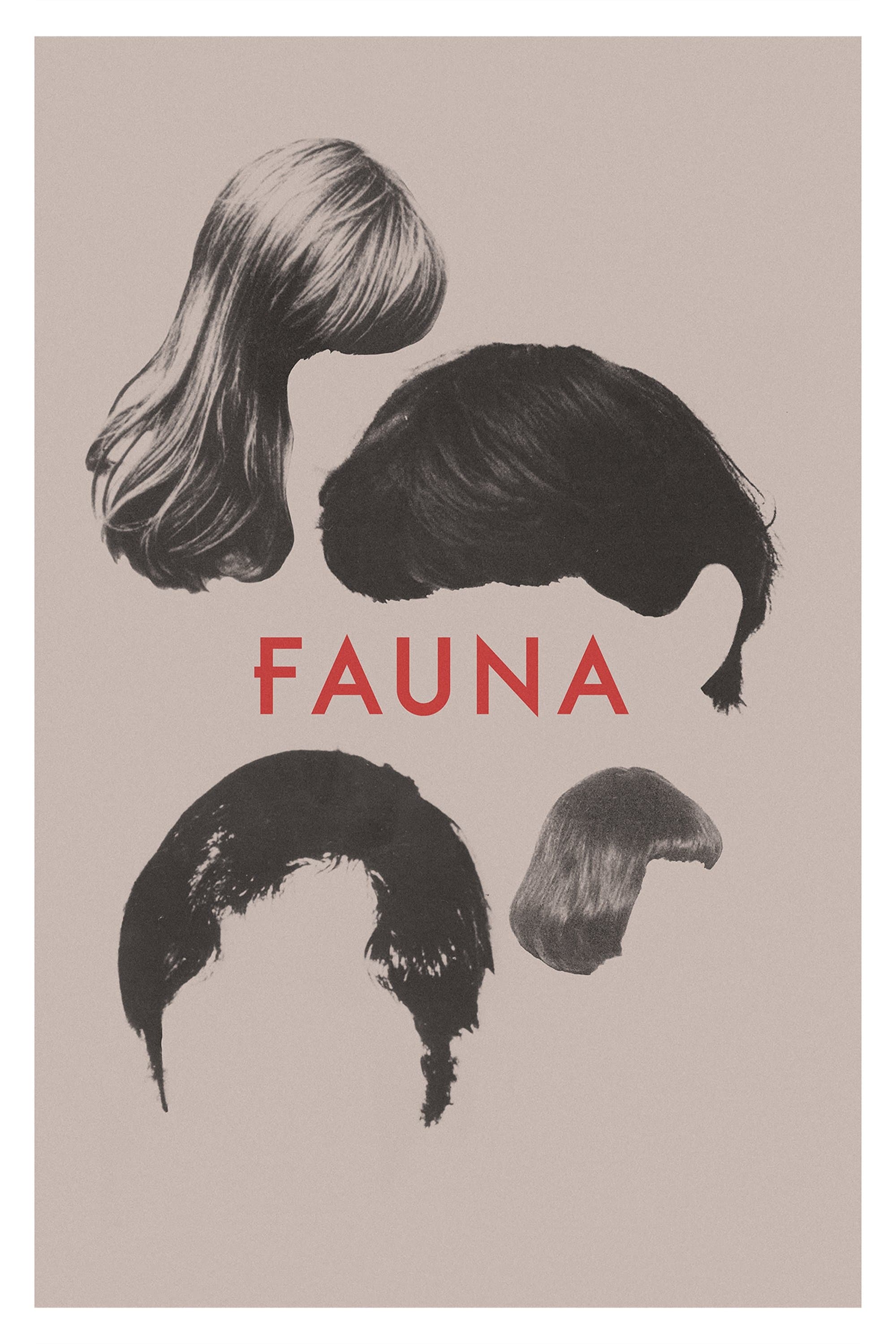 Fauna photo