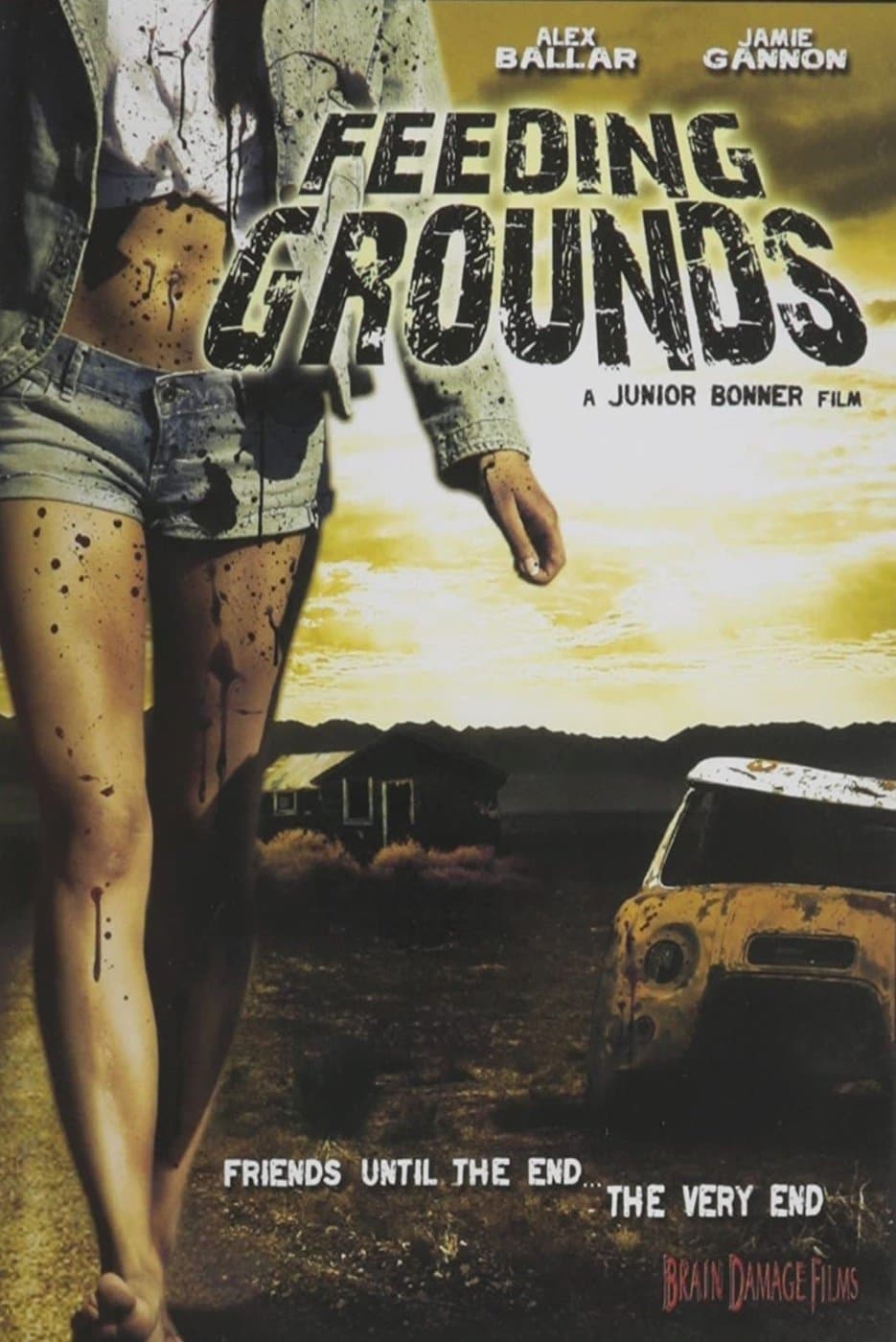 Feeding Grounds photo