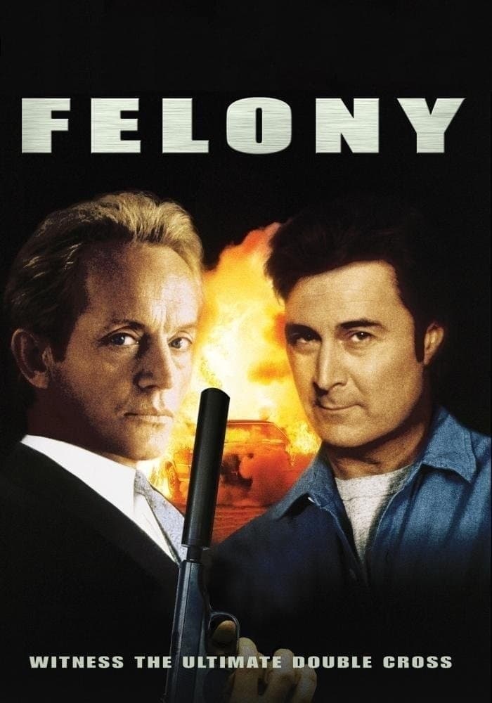 Felony photo