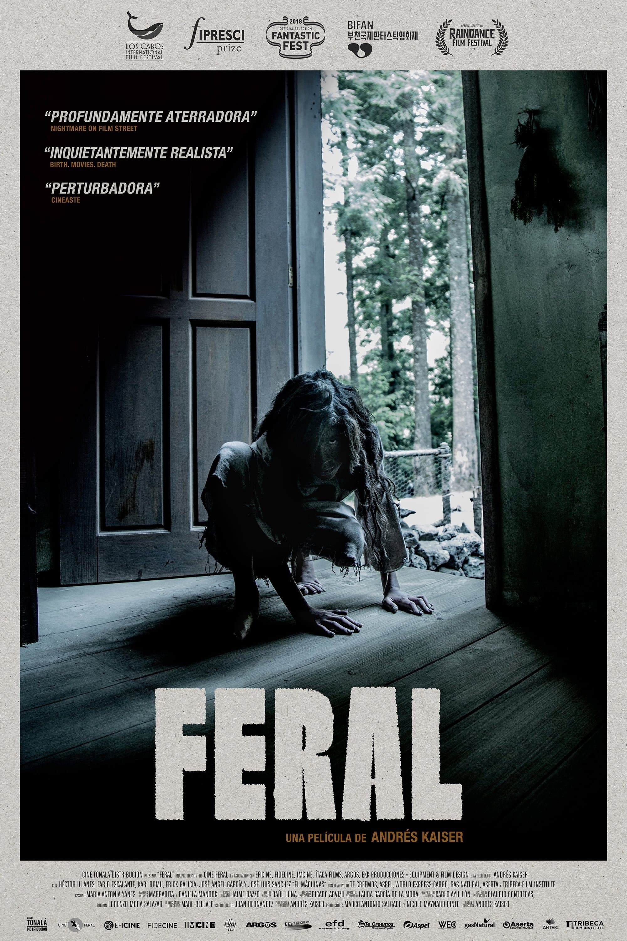 Feral photo