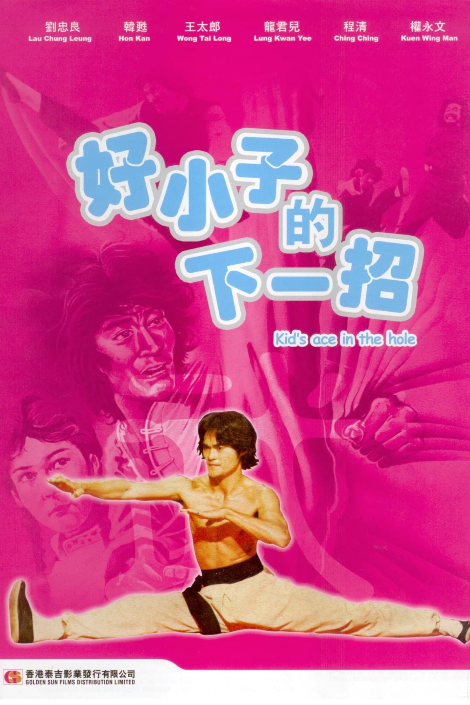 Fighting Ace photo