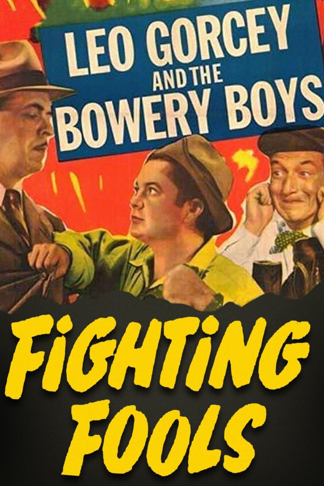 Fighting Fools photo