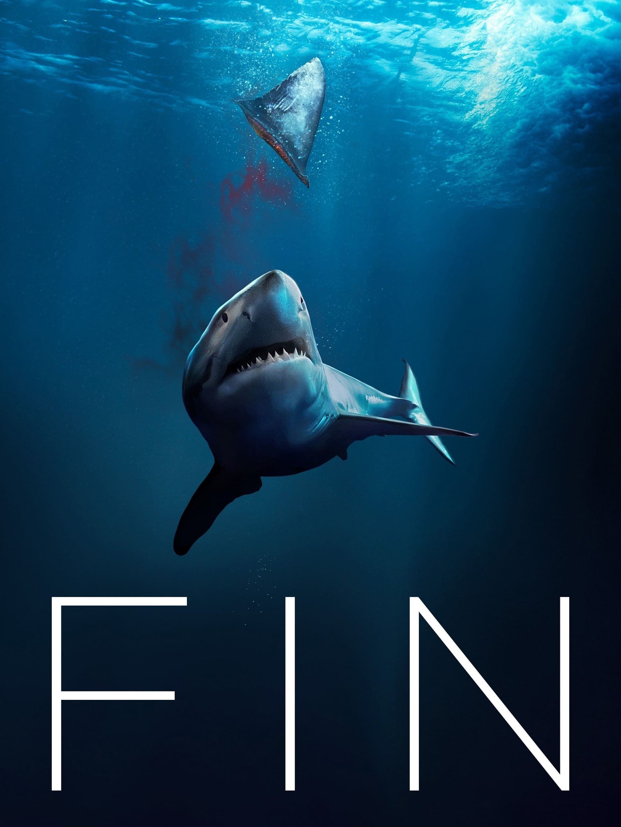 Fin photo