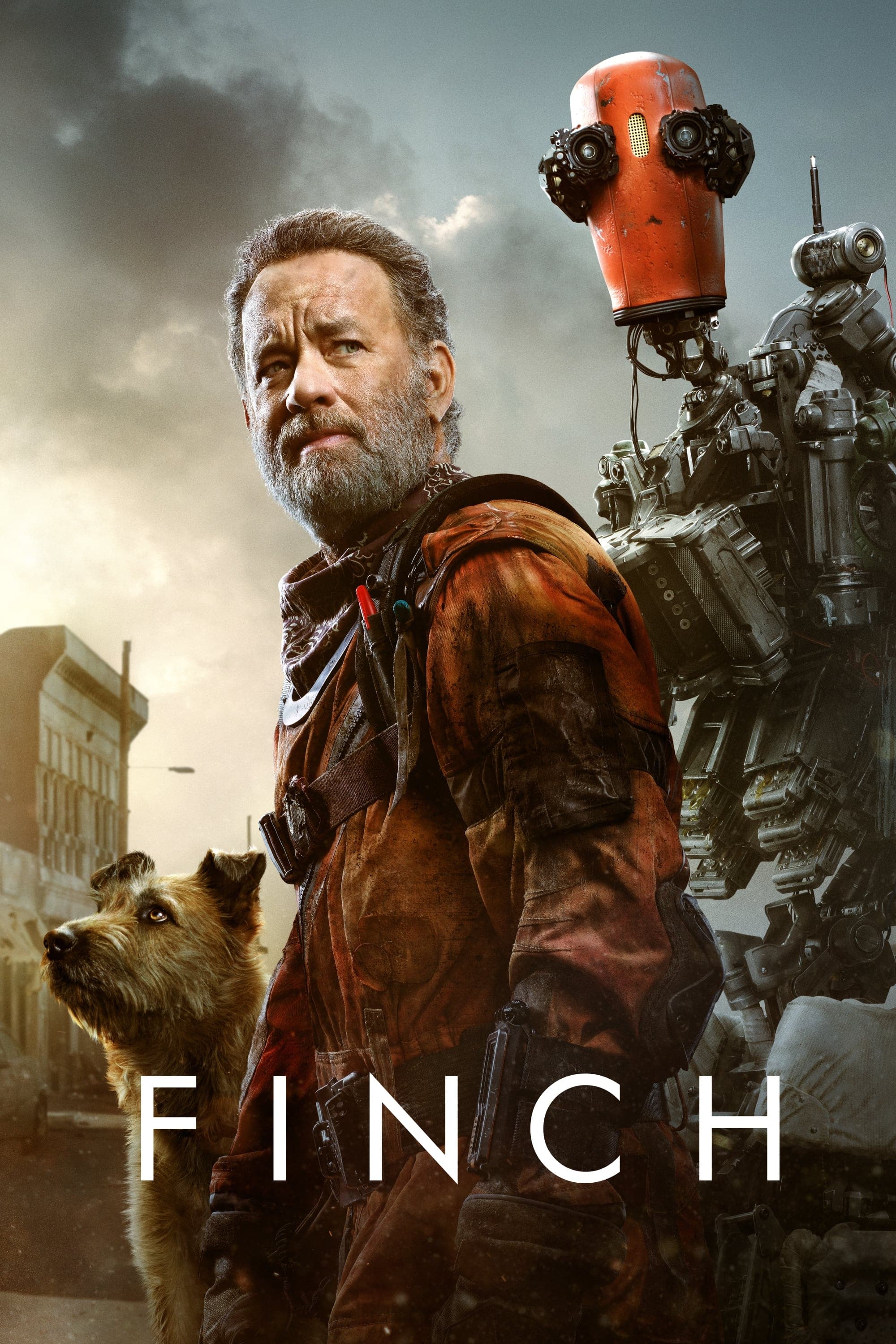 Finch photo