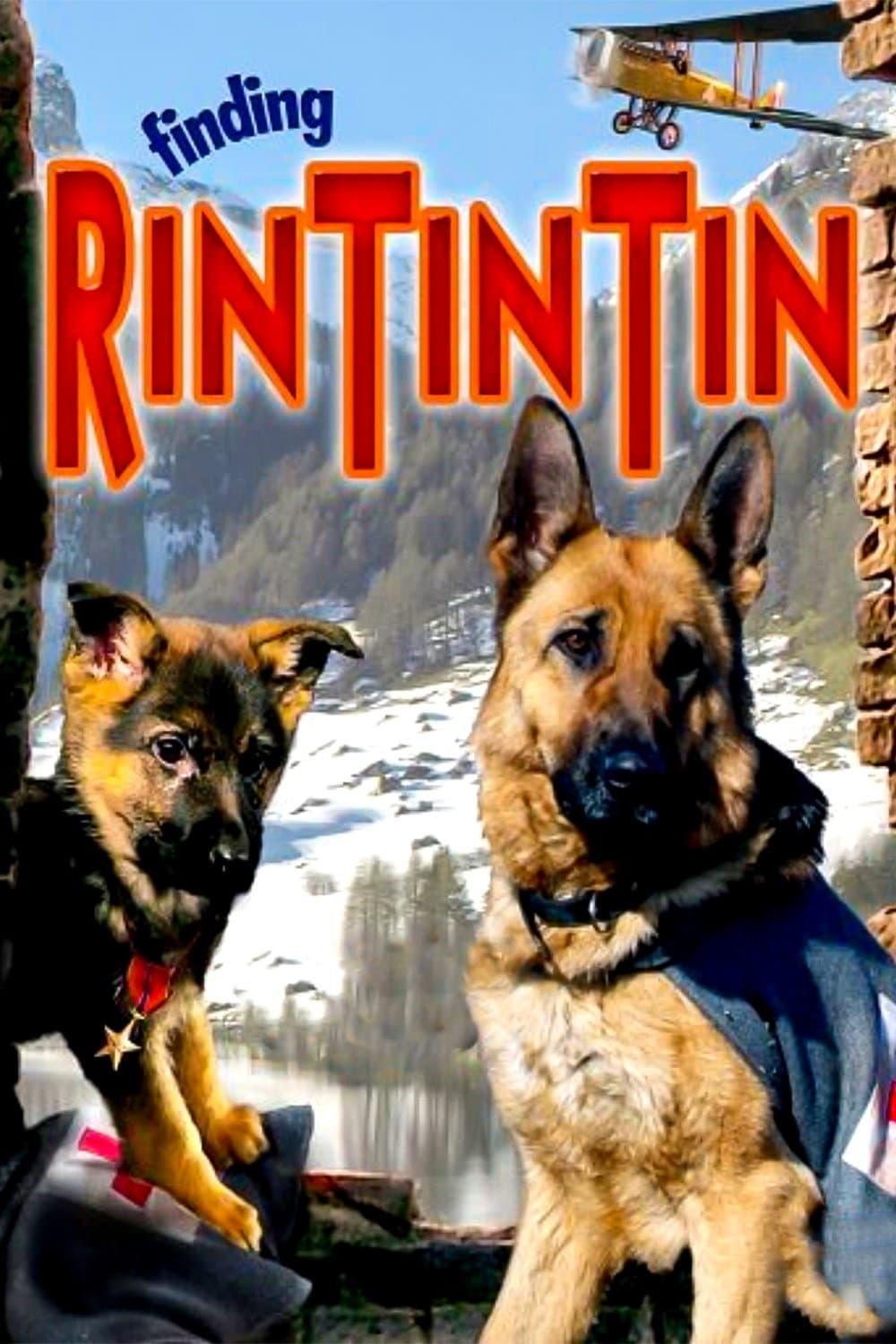 Finding Rin Tin Tin photo