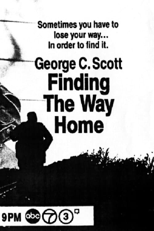 Finding the Way Home photo