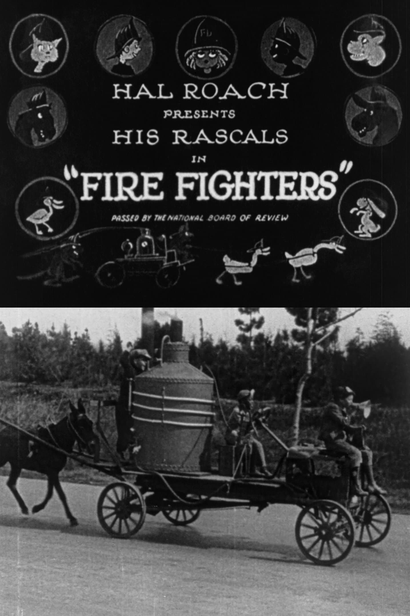 Fire Fighters photo