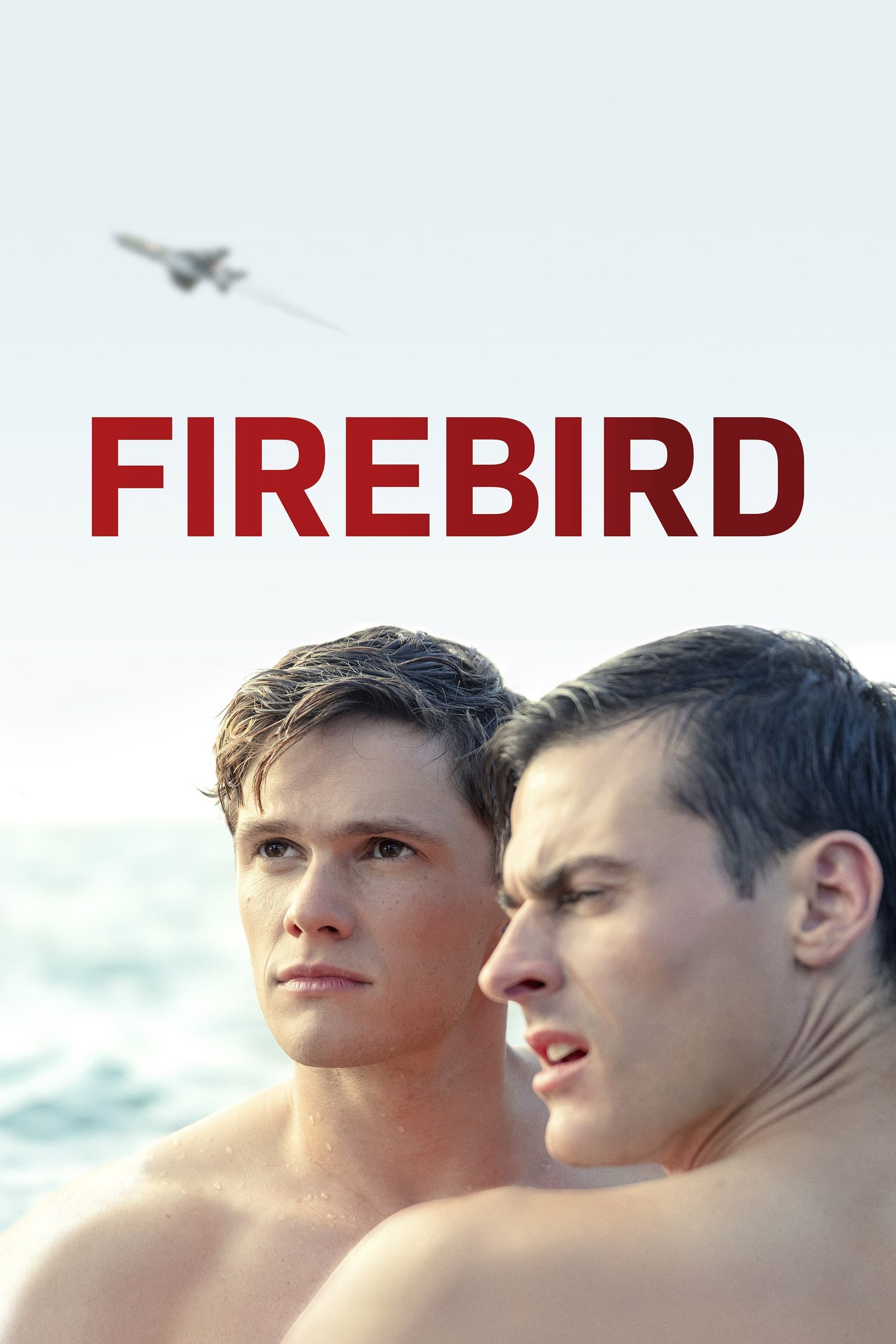 Firebird photo