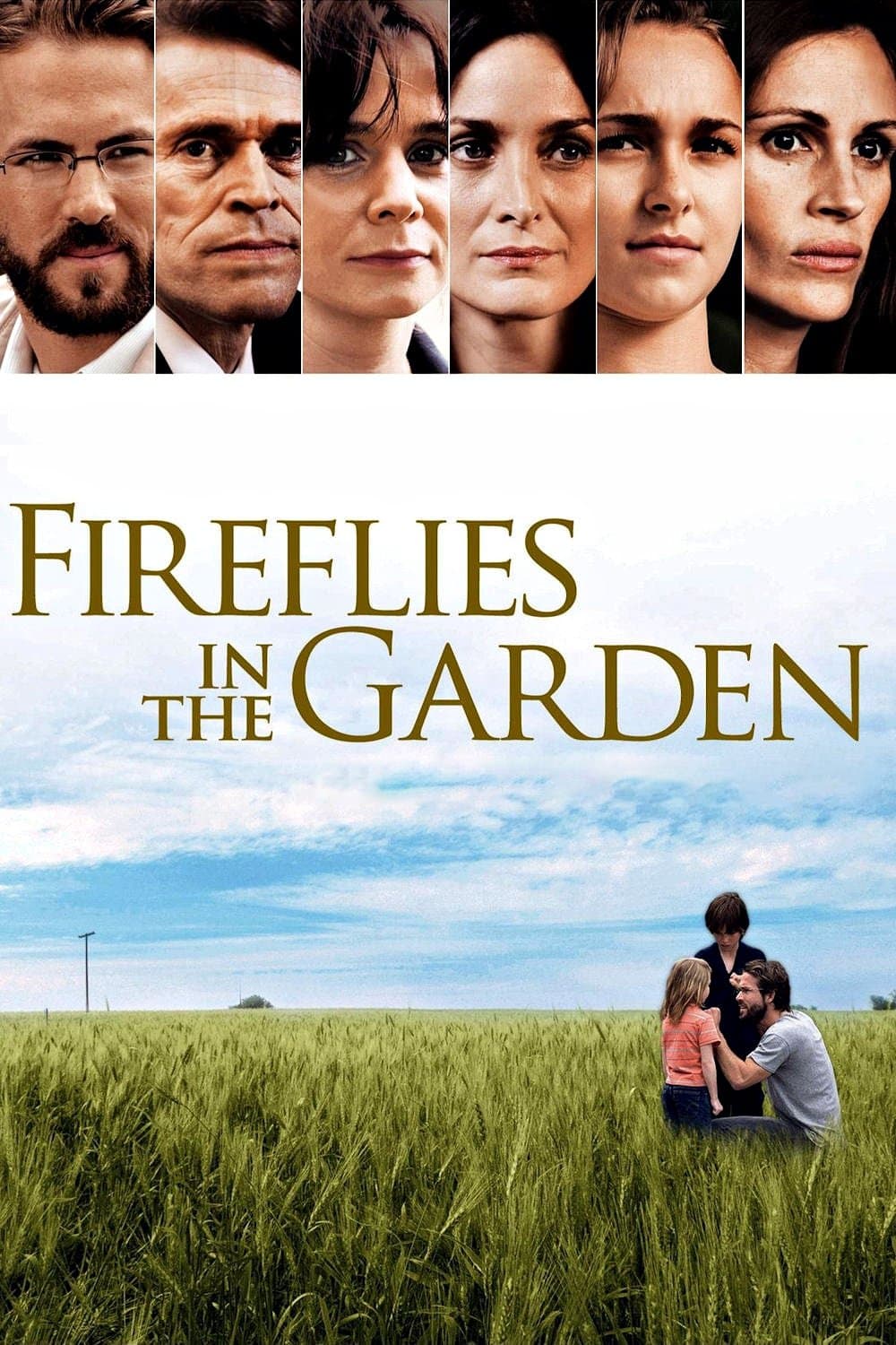 Fireflies in the Garden photo