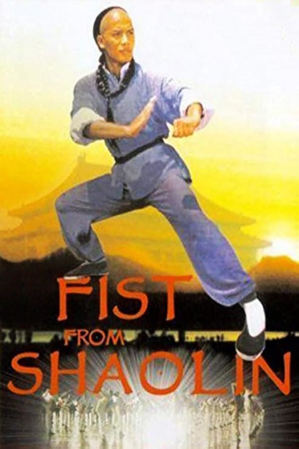 Fist from Shaolin photo