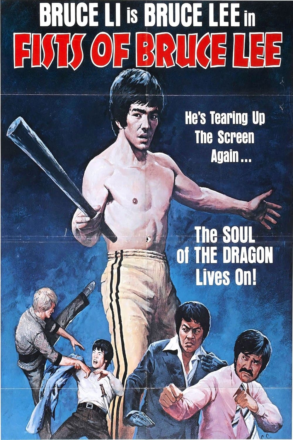 Fists of Bruce Lee photo
