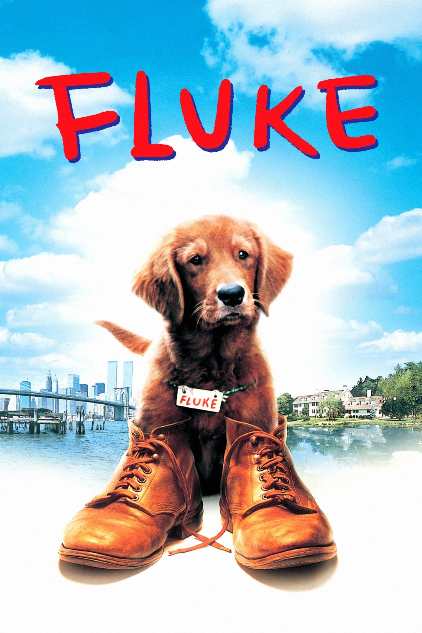 Fluke photo