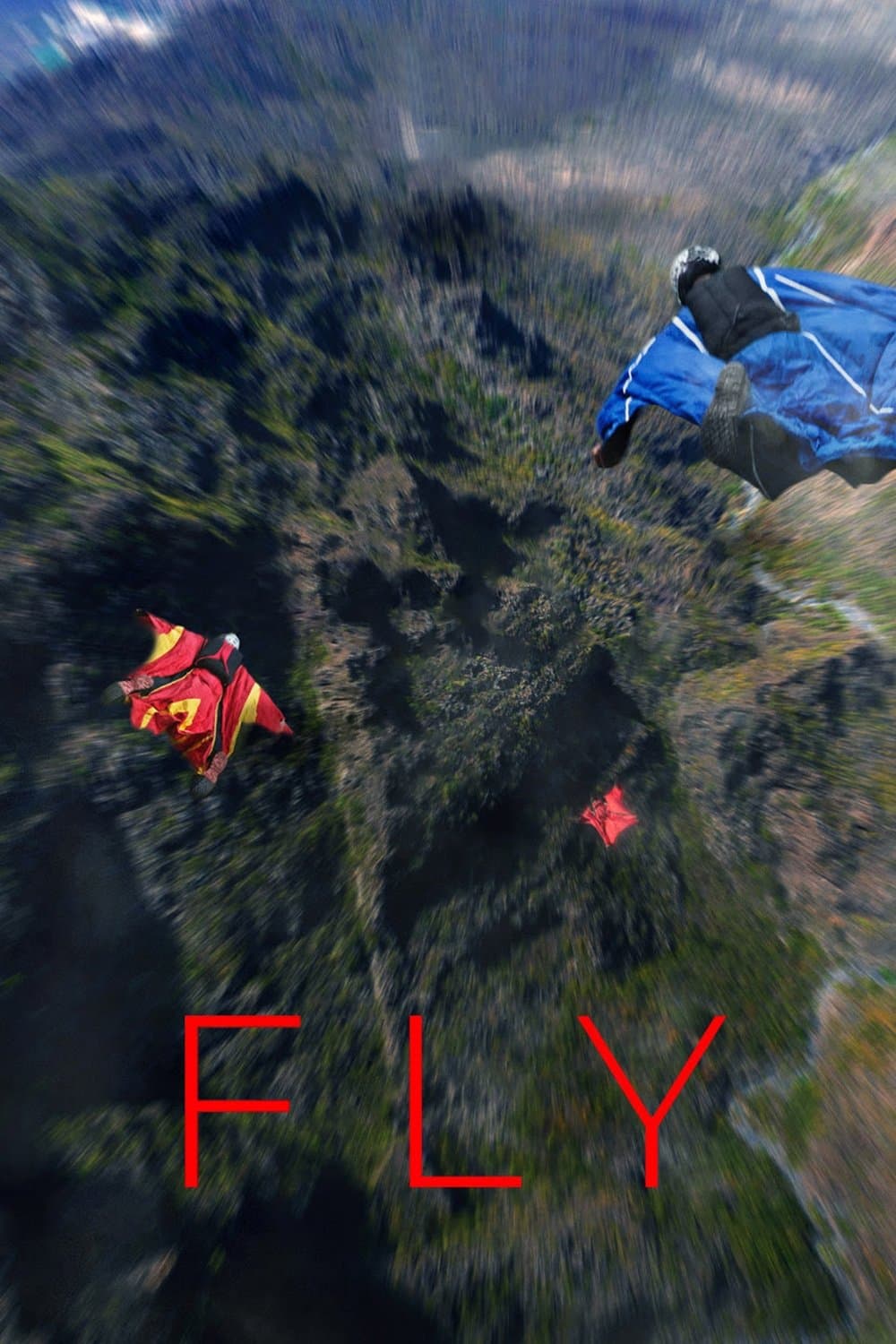 Fly photo