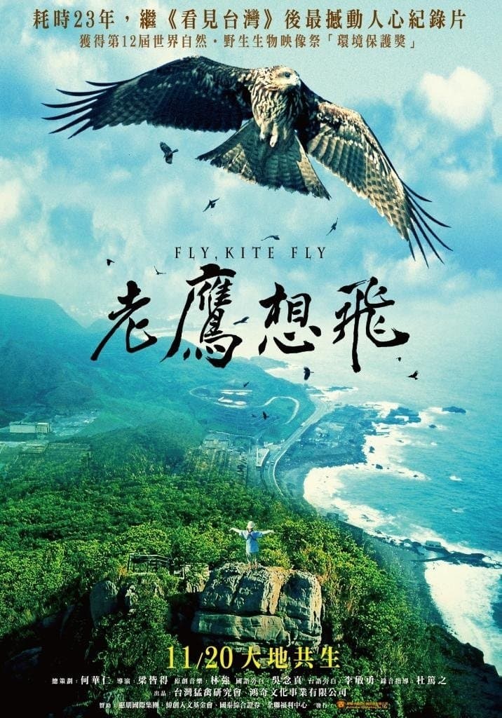 Fly, Kite Fly photo