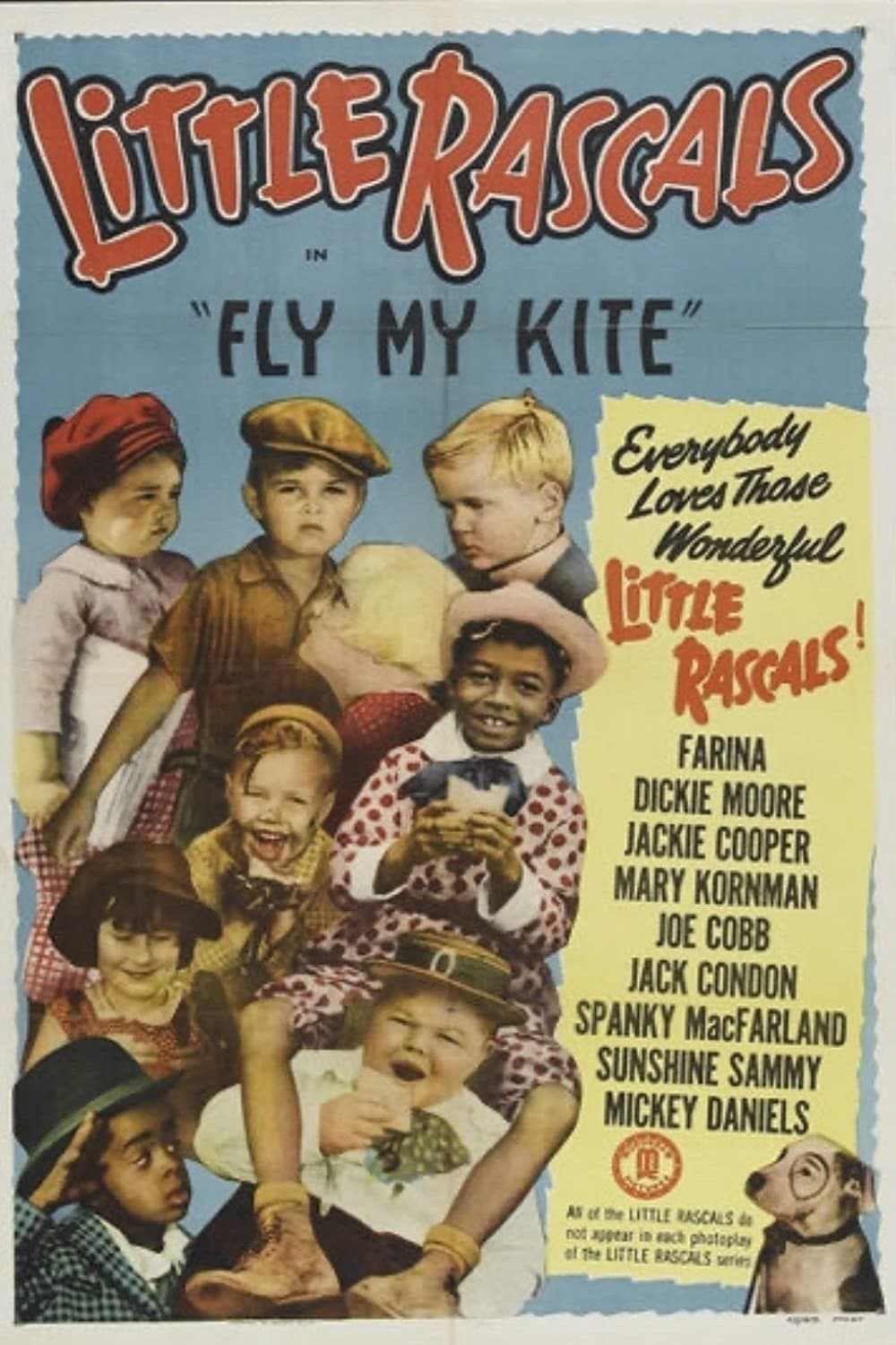 Fly My Kite photo