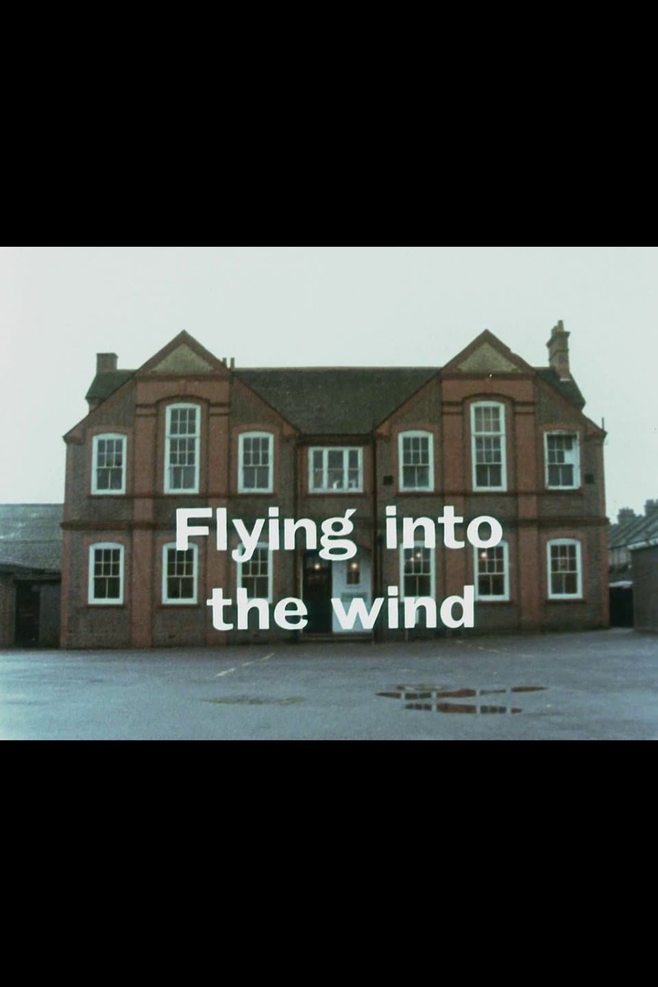 Flying Into the Wind photo
